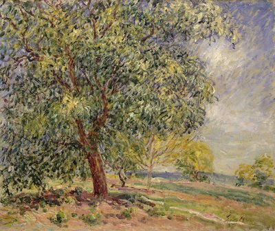 Valnøddetræ ved Sablons om foråret; Valnøddetræer ved Les Sablons, forår, 1885 af Alfred Sisley