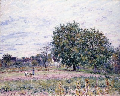 Valnøddetræer, virkningen af den nedgående sol - første dag i oktober, 1882 af Alfred Sisley