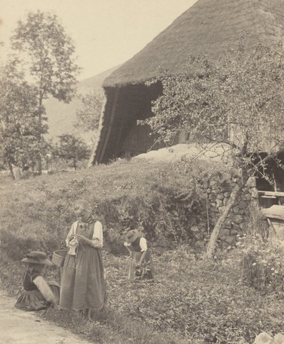 Lidt Gutach af Alfred Stieglitz