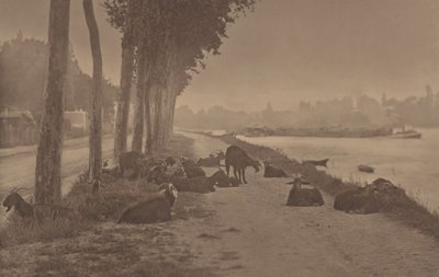  af Alfred Stieglitz