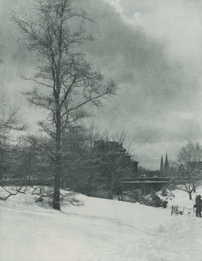 En vinterhimmel – Central Park af Alfred Stieglitz