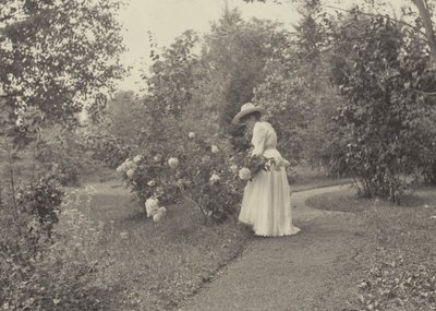 På Oaklawn af Alfred Stieglitz