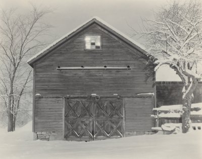 Børn  Sne af Alfred Stieglitz