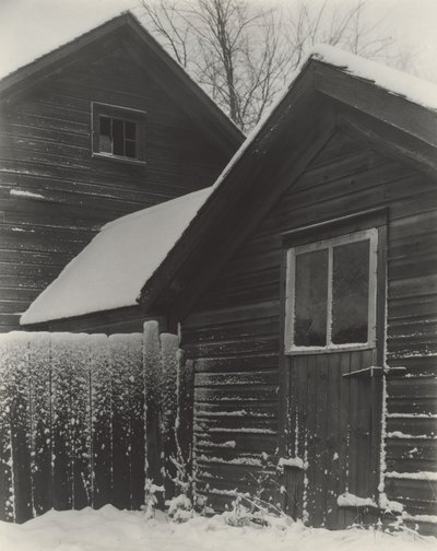 Børn  Sne af Alfred Stieglitz