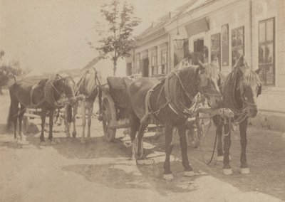 Foran kroen af Alfred Stieglitz