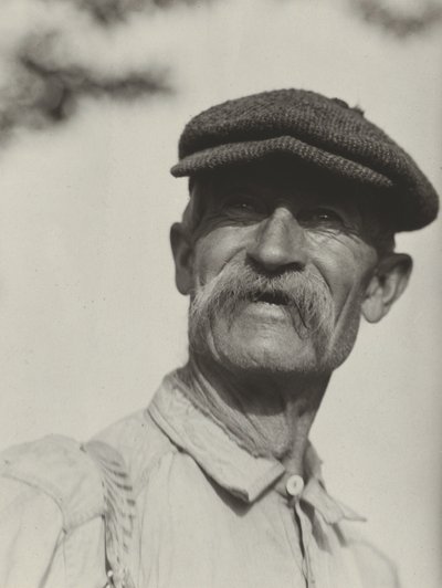 Bliv af Alfred Stieglitz
