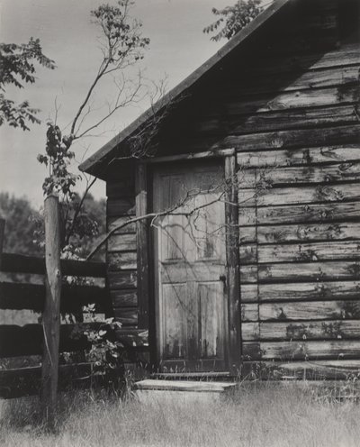 af Alfred Stieglitz