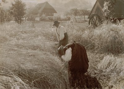 Tidlig morgen af Alfred Stieglitz