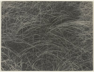Tilsvarende af Alfred Stieglitz
