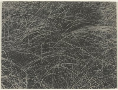 Tilsvarende, 1927. af Alfred Stieglitz