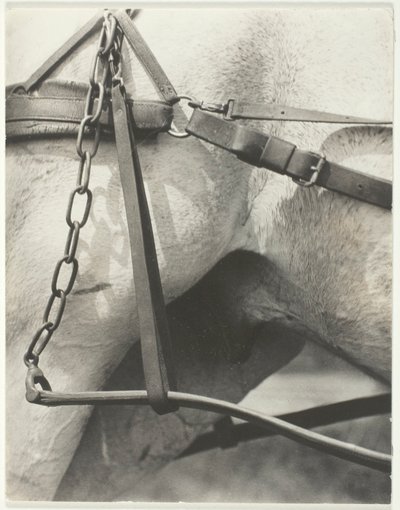 Tilsvarende, Spirituelt Amerika af Alfred Stieglitz