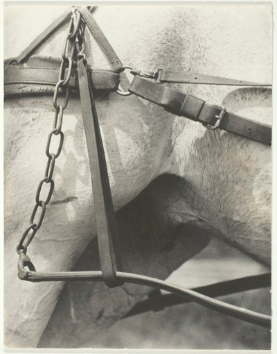 Tilsvarende, Spiritual America, 1923. af Alfred Stieglitz