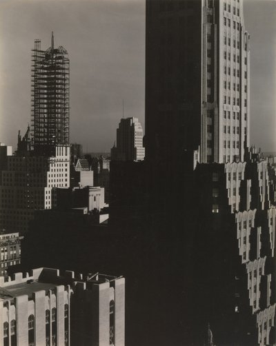 Fra mit vindue på Shelton, North af Alfred Stieglitz