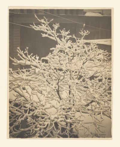 Fra bagvinduet i nr. 291 af Alfred Stieglitz