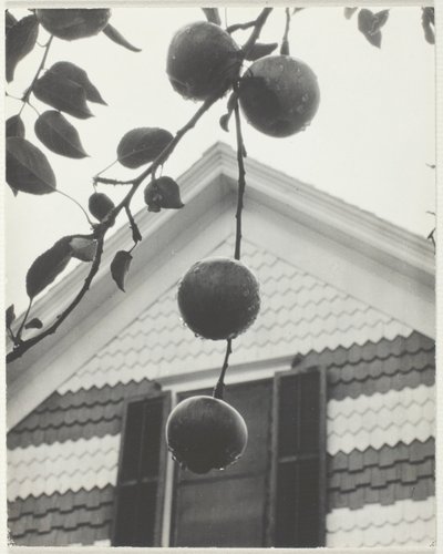 Gavl og Æbler af Alfred Stieglitz