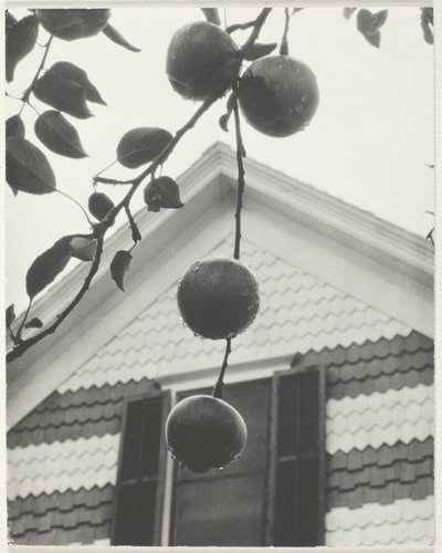 Gavl og æbler, 1922. af Alfred Stieglitz