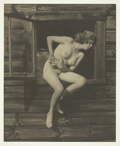 Georgia Engelhard af Alfred Stieglitz