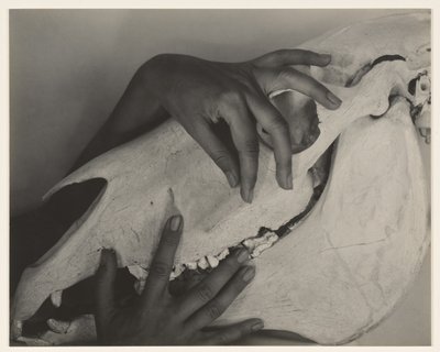  af Alfred Stieglitz