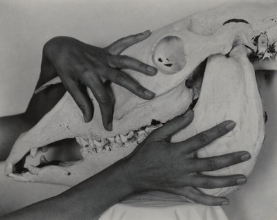  af Alfred Stieglitz