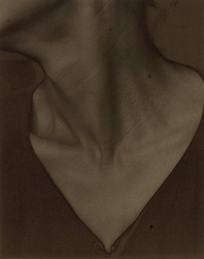 Georgia O’Keeffe – Hals af Alfred Stieglitz