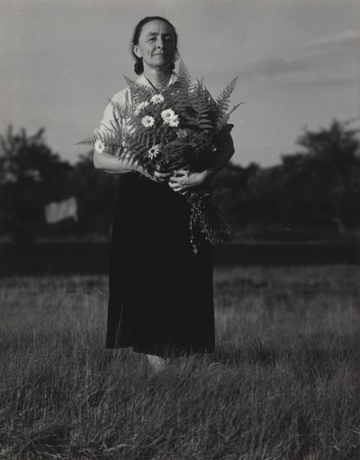 Georgia O’Keeffe af Alfred Stieglitz