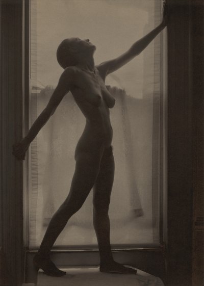 Georgia O’Keeffe af Alfred Stieglitz
