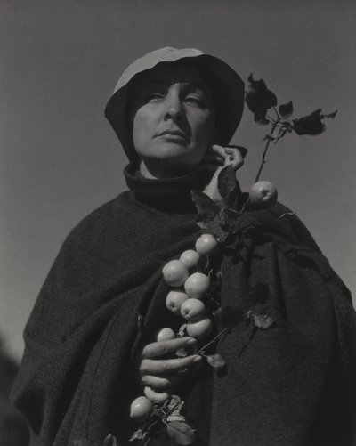  af Alfred Stieglitz