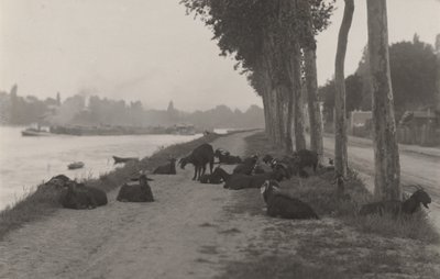 Geder uden for Paris af Alfred Stieglitz