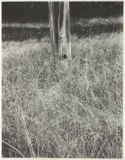 Græs og flagstang af Alfred Stieglitz