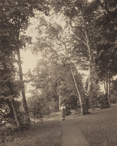  af Alfred Stieglitz