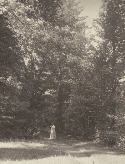  af Alfred Stieglitz
