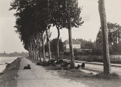 Hjemad af Alfred Stieglitz