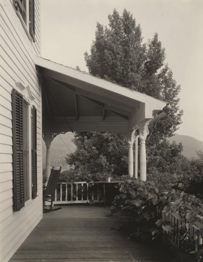 Hus, blade og træ af Alfred Stieglitz