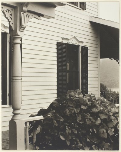Hus og drueblade af Alfred Stieglitz