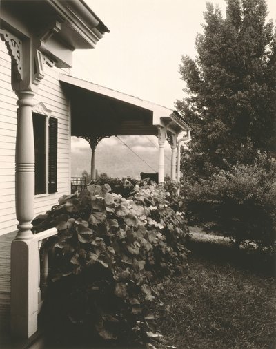 Hus og drueblade, 1934. af Alfred Stieglitz