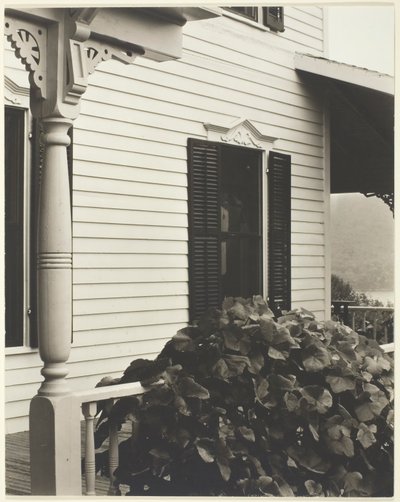 Hus og drueblade, 1934. af Alfred Stieglitz