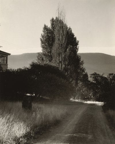  af Alfred Stieglitz