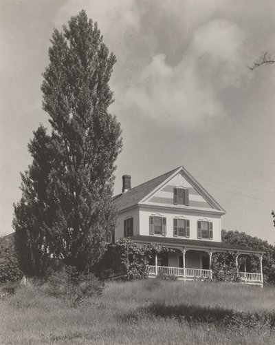 Huset på bakken, Lake George af Alfred Stieglitz
