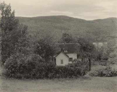 Lake George af Alfred Stieglitz