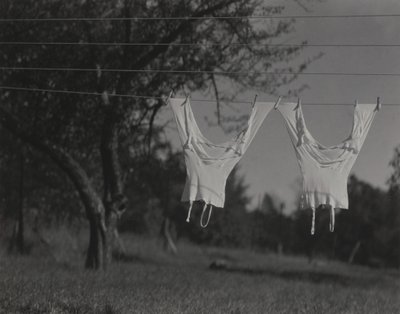  af Alfred Stieglitz