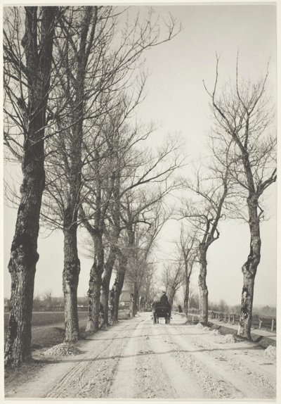 november dage af Alfred Stieglitz