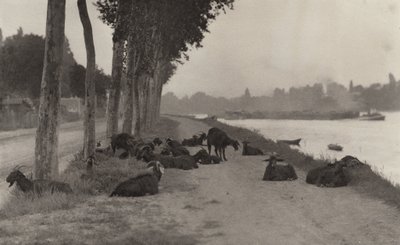  af Alfred Stieglitz