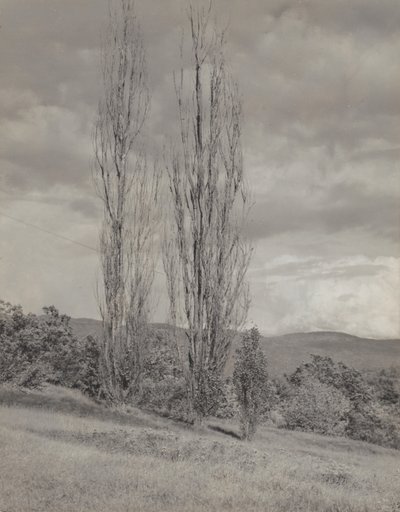  af Alfred Stieglitz