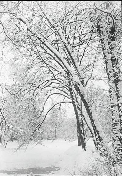 Snowscape, Berlin, 188892. af Alfred Stieglitz