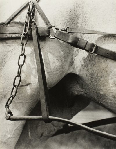 Spiritual America: Songs of the Sky A1 af Alfred Stieglitz