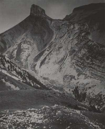  af Alfred Stieglitz