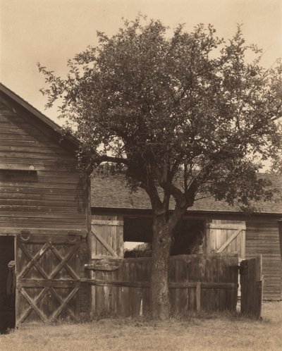  af Alfred Stieglitz