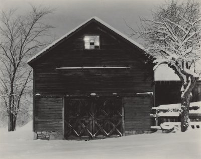 Den sorte lade og den hvide sne af Alfred Stieglitz