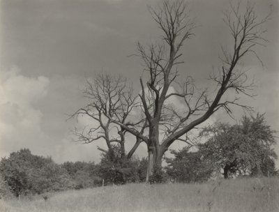  af Alfred Stieglitz