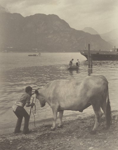 Det ufrivillige bad af Alfred Stieglitz